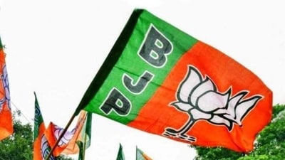 The BJP, which has already picked state chiefs in over 25 of 37 organisational units, is also gearing up to name its next national president. (HT File Photo/Representational) The BJP, which has already picked state chiefs in over 25 of 37 organisational units, is also gearing up to name its next national president. (HT File Photo/Representational)