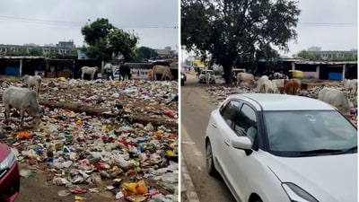 Snippets from a video shared by an army veteran show garbage on Gurgaon streets. (Instagram/@gen.yashmor) Snippets from a video shared by an army veteran show garbage on Gurgaon streets. (Instagram/@gen.yashmor)