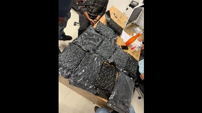 They found 10.47 kg of hydro weed, valued at around  ₹10.5 crore in the black market. (HT)