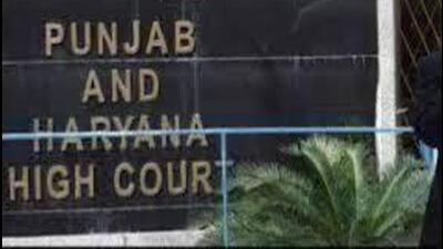 he division bench of chief justice Sheel Nagu and justice Sanjiv Berry has sought response from the Punjab government by September 22 on the public interest litigation (PIL) filed by the KS Raju Legal Trust. (HT File)