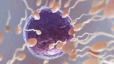 Sperm freezing may be used by men with medical conditions or even those who want to delay fatherhood. (Freepik) Sperm freezing may be used by men with medical conditions or even those who want to delay fatherhood. (Freepik)