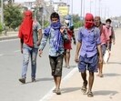 The survey found that 68% of migrant workers from Bihar whom the group interviewed– both within Bihar and outside – lacked accurate information about the documents needed for SIR verification. (Representational image)