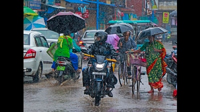 According to the weather department, there has been a 5% excess rainfall over the country since June 1 (PTI)