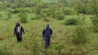 In this photograph taken on September 13, 2019, forest department officials walk back after inspecting a mangrove plantation during a patrol at Belapur in Navi Mumbai. (AFP) In this photograph taken on September 13, 2019, forest department officials walk back after inspecting a mangrove plantation during a patrol at Belapur in Navi Mumbai. (AFP)