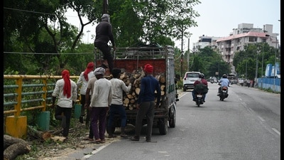 People seen removing logs from axed trees on Hanuman Setu-Nishatganj stretch on Friday (Mushtaq Ali/HT) People seen removing logs from axed trees on Hanuman Setu-Nishatganj stretch on Friday (Mushtaq Ali/HT)