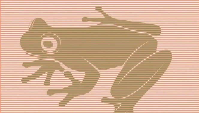 Did you find the hidden 'frog' at first glance?