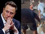A video of a "white couple” being attacked by a group of individuals at the Cincinnati Jazz Fest has gone viral. A video of a "white couple” being attacked by a group of individuals at the Cincinnati Jazz Fest has gone viral.