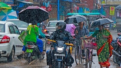 Kerala, Madhya Pradesh, Maharashtra hit by heavy rain; IMD issues red, orange alerts (PTI) Kerala, Madhya Pradesh, Maharashtra hit by heavy rain; IMD issues red, orange alerts (PTI)