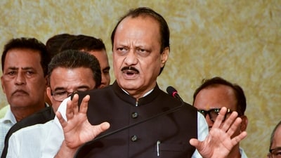 A video clip of Pawar expressing frustration over local governance issues has gone viral on social media. (PTI)