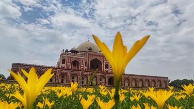 Humayun's Tomb on Sunday. (Vipin Kumar/HT Photo) Humayun's Tomb on Sunday. (Vipin Kumar/HT Photo)