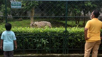 Save Wild Animals of Zoo and Our Nature (Swazon), a citizens’ forum in Kolkata, have also approached the Calcutta High Court over the issue, and the petition is likely to be heard next week. (Samir Jana / Hindustan Times)