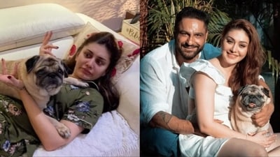 Parag Tyagi shared a post for his late wife, Shefali Jariwala. Parag Tyagi shared a post for his late wife, Shefali Jariwala.