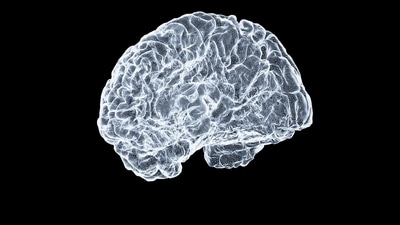 Neurocysticercosis is a preventable parasitic infection of the central nervous system, caused by the larval cysts of the pork tapeworm “Taenia solium”. (Pic used for representation) (Unsplash) Neurocysticercosis is a preventable parasitic infection of the central nervous system, caused by the larval cysts of the pork tapeworm “Taenia solium”. (Pic used for representation) (Unsplash)