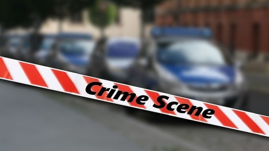Michigan Walmart stabbing: Trump ally says it's 'highly likely' suspect is an 'Islamic immigrant,' calls for deportation (Pixabay - representational image)
