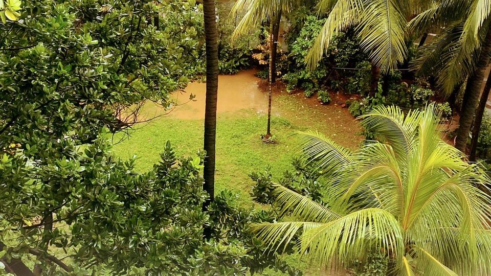 Mumbai monsoon greens. Mumbai monsoon greens.