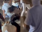 A violent brawl broke out near the Cincinnati Jazz Festival on Saturday.