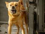 The Supreme Court on Monday highlighted the increasing cases of dog bite in Delhi that leads to rabies, impacting the vulnerable population.