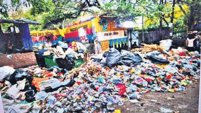 The dhalao located near AIIMS gate number 6. (HT Photo) The dhalao located near AIIMS gate number 6. (HT Photo)