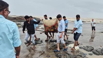 The three bodies washed ashore on July 28 at separate locations along the Alibag coastline The three bodies washed ashore on July 28 at separate locations along the Alibag coastline