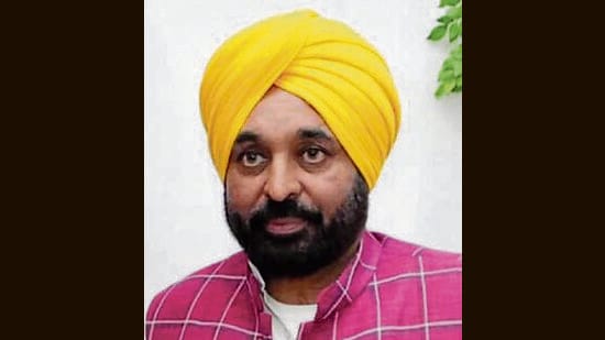 Chief minister Bhagwant Singh Mann will formally relaunch traditional bullock cart races in the state on Tuesday. The grand event will be held at the football stadium in Mehma Singh Wala village, located in the Gill constituency of Ludhiana. (HT File)