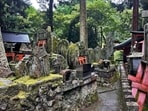 A graveyard in Kyoto, Japan (Shutterstock)