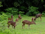 Zoo (REPRESENTATIVE PIC)