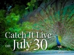 Catch It Live on Wednesday, 30 July 2025.(Photo: Anurag Mehra/HT)