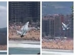 The EF-18 Hornet jet can be seen flying towards the beach at a very low altitude when it executes a sudden hard right roll. The EF-18 Hornet jet can be seen flying towards the beach at a very low altitude when it executes a sudden hard right roll.