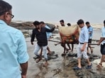 The three bodies washed ashore on July 28 at separate locations along the Alibag coastline The three bodies washed ashore on July 28 at separate locations along the Alibag coastline