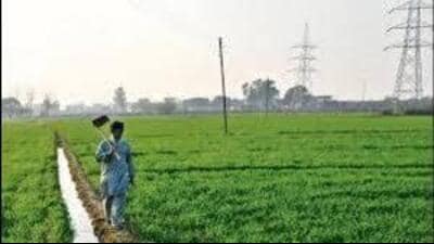 As per GMADA’s current land pooling policy, only commercial plots can be offered in exchange for land acquired for commercial sectors. (HT Photo for representation)