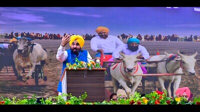 Chief minister Bhagwant Singh Mann addressing a rally in Mehma Singh Wala village in Ludhiana on Tuesday. (Gurpreet Singh/HT) Chief minister Bhagwant Singh Mann addressing a rally in Mehma Singh Wala village in Ludhiana on Tuesday. (Gurpreet Singh/HT)