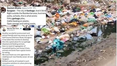 Gurugram residents have been uploading videos and photos of garbage strewn streets demanding the authorities to clean up numerous sites. (Photo: X)