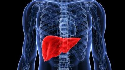 Liver cancer is already a major cause of death and disability. (Representative file photo) Liver cancer is already a major cause of death and disability. (Representative file photo)