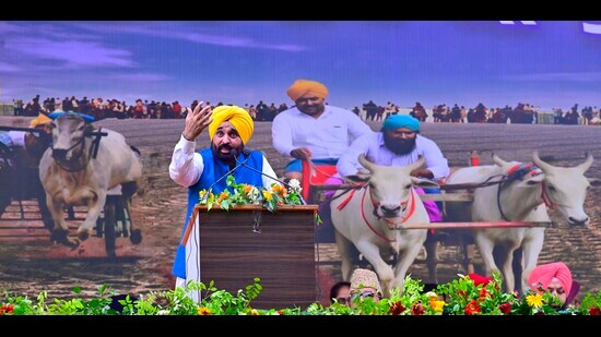Chief minister Bhagwant Singh Mann addressing a rally in Mehma Singh Wala village in Ludhiana on Tuesday. (Gurpreet Singh/HT)
