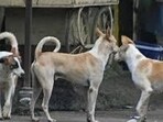 A case has been registered under relevant sections of the Bharatiya Nyaya Sanhita (BNS) and the Prevention of Cruelty to Animals Act, 1960. (HT photo for representation)