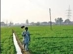 As per GMADA’s current land pooling policy, only commercial plots can be offered in exchange for land acquired for commercial sectors. (HT Photo for representation) As per GMADA’s current land pooling policy, only commercial plots can be offered in exchange for land acquired for commercial sectors. (HT Photo for representation)