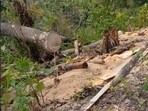 Assam shares a border with Mizoram, Nagaland, and Arunachal Pradesh, and the three states are engaged in talks with Assam at present to resolve the disputes. (Representative photo)