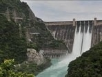 Bhakra Beas Management Board manages Bhakra and Pong dams, power houses, and the downstream project regulating water supply to Punjab, Haryana, and Rajasthan. (HT File) Bhakra Beas Management Board manages Bhakra and Pong dams, power houses, and the downstream project regulating water supply to Punjab, Haryana, and Rajasthan. (HT File)