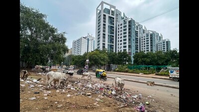 A Gurugram district administration spokesperson said that the process of determining the collector rate of land for the year 2025-26 has started in Gurugram district. (HT PHOTO) A Gurugram district administration spokesperson said that the process of determining the collector rate of land for the year 2025-26 has started in Gurugram district. (HT PHOTO)