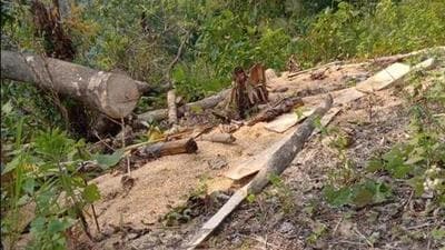 Assam shares a border with Mizoram, Nagaland, and Arunachal Pradesh, and the three states are engaged in talks with Assam at present to resolve the disputes. (Representative photo) Assam shares a border with Mizoram, Nagaland, and Arunachal Pradesh, and the three states are engaged in talks with Assam at present to resolve the disputes. (Representative photo)