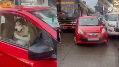 A dog was seen on the driver’s seat of a car parked in the middle of the busy Lokhandwala Main Market road. (@andheriloca/Instagram) A dog was seen on the driver’s seat of a car parked in the middle of the busy Lokhandwala Main Market road. (@andheriloca/Instagram)