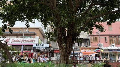 The martyrs’ bodies were hanging from the trees, here in Chandni Chowk. That’s one of the legends Purani Dilli wale tend to recall of this Walled City avenue. The executions were said to have followed the doomed 1857 uprising against the British. (HT)