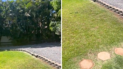 Snippets from a video shared by a US founder about the tsunami siren in Hawaii. (X/@DowdEdward) Snippets from a video shared by a US founder about the tsunami siren in Hawaii. (X/@DowdEdward)
