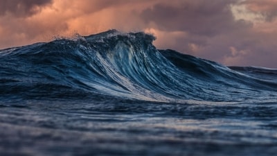 Tsunami warnings: How high could the waves be in Russia, Japan, Hawaii, and California? (Unsplash - representational image) Tsunami warnings: How high could the waves be in Russia, Japan, Hawaii, and California? (Unsplash - representational image)