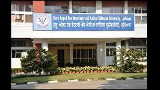 Guru Angad Dev Veterinary and Animal Sciences University