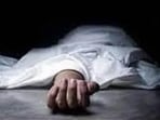 Following her son’s complaint, police registered a case against the car driver under Sections 281 (negligent driving) and 106 (1) (causing death by negligence) of the BNS. (HT photo for representation) Following her son’s complaint, police registered a case against the car driver under Sections 281 (negligent driving) and 106 (1) (causing death by negligence) of the BNS. (HT photo for representation)