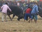 NGO People for Animals, filed a petition in 1996 against the government’s failure to act against bullfights. (Representative photo)