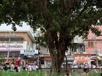 The martyrs’ bodies were hanging from the trees, here in Chandni Chowk. That’s one of the legends Purani Dilli wale tend to recall of this Walled City avenue. The executions were said to have followed the doomed 1857 uprising against the British. (HT) The martyrs’ bodies were hanging from the trees, here in Chandni Chowk. That’s one of the legends Purani Dilli wale tend to recall of this Walled City avenue. The executions were said to have followed the doomed 1857 uprising against the British. (HT)