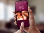 A security flaw in a sex toy app exposed users' email addresses (Representational image)