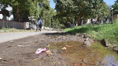 According to experts, an above-average rainfall this July and subsequent waterlogging have likely contributed to the increase in the cases of dengue and malaria. (FILE) According to experts, an above-average rainfall this July and subsequent waterlogging have likely contributed to the increase in the cases of dengue and malaria. (FILE)